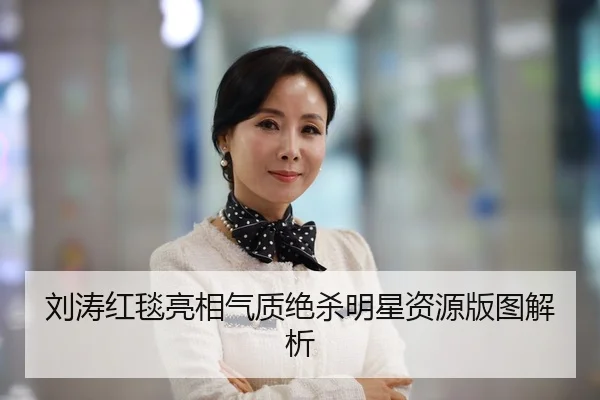 刘涛红毯亮相气质绝杀明星资源版图解析